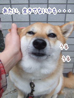 ����ʤ顢�դ��͡�����