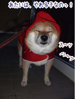 ���᡼���ȥ졼�˥󥰤ϡ�����ʤΡ�