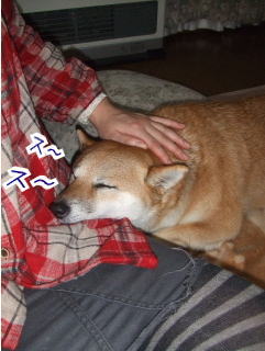 �����餬Ω�����ʤΡ�����