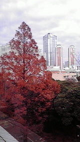 d260b050.jpg