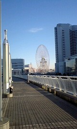 36260919.jpg