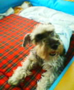 Æâ¢½õ¥¦¥ì¥¿¥ó¥Þ¥Ã¥È