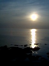 8990d0b5.jpg