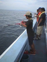 955801e4.jpg