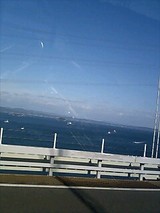 98a06727.jpg