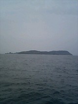 b1db0a77.jpg