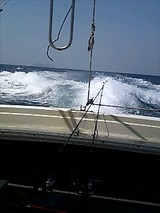 ee66e306.jpg