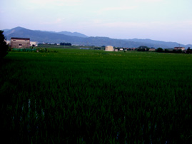 704田んぼ
