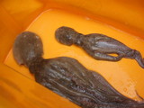 DSCF2433