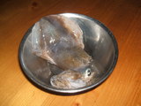 DSCF2510