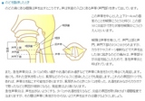 急性咽頭炎＆声帯炎