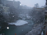 朝は雪が降っていました