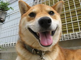 元気2