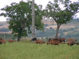 a99cb441.JPG