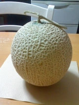 melon_01