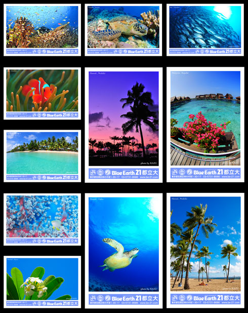 postcard
