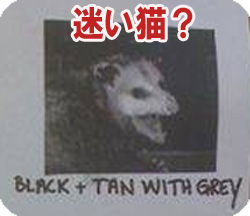 �¤�ǭ