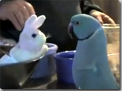 �̤������