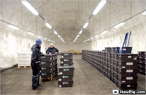 seedvault001