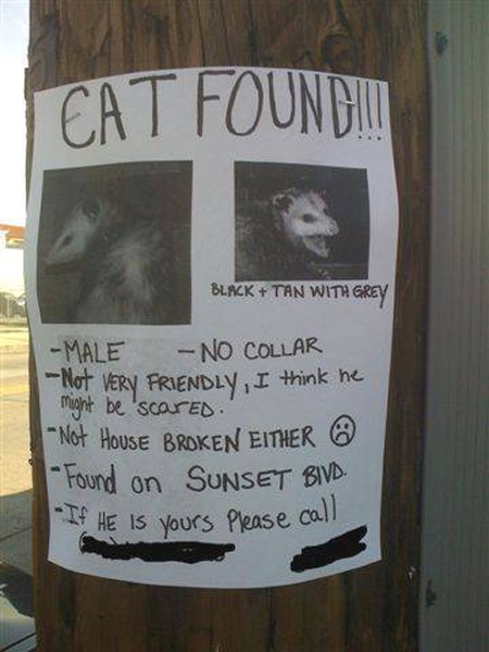 猫保護