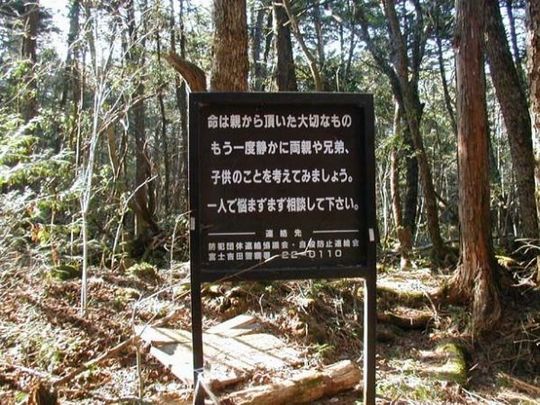 aokigahara_forest_02