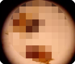 ǭ
