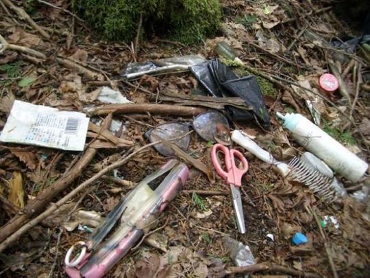 aokigahara_forest_05