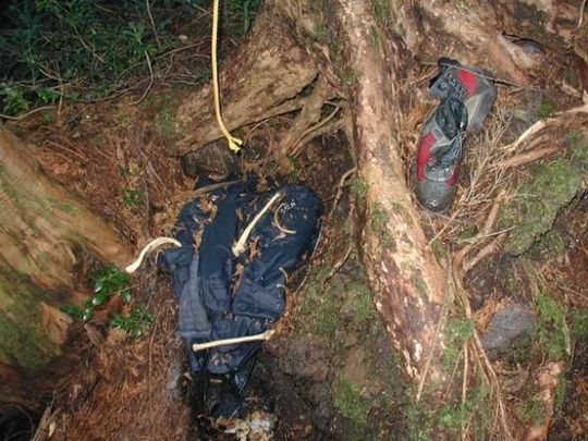 aokigahara_forest_08