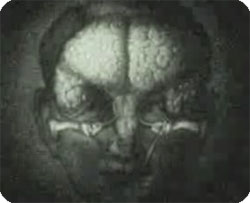 1950