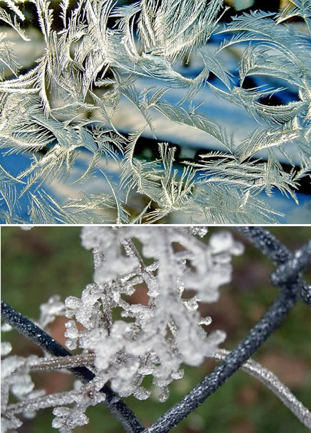 a96726_a473_frozen-flower