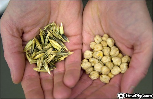seedvault007