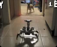 ��̯��