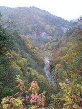 024180d3.jpg