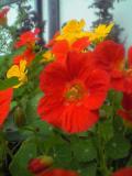 05-07-01_12-30.jpg
