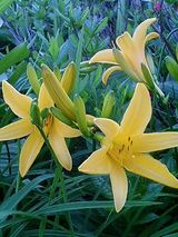 050624_1836~0001.JPG