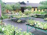 050701_1607~0001.jpg