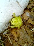 050421_1217~0001.jpg