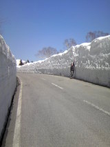 雪の回廊