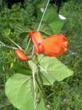 617891ed.jpg