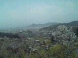 05-04-17_12-05.jpeg