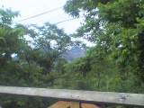 05-07-10_07-13.jpg
