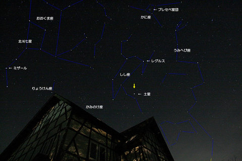 しし座ワイド(星・星座)