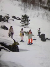 93d93419.JPG