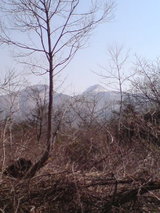 a23f2cc5.jpg