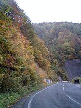 a7388e9f.jpg