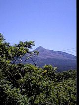 b98c7825.jpg