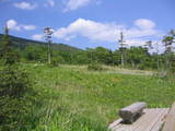 �ѥΥ�ޥ���ɥ�