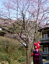 onsen