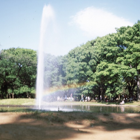 Rainbow