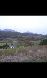 2747dce3.jpg